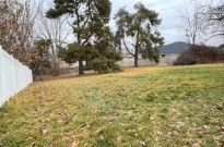 IMG_0935
