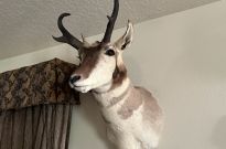 IMG_6690
